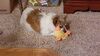 Filename=20201226_001.jpg
Filesize=350KiB
Dimensions=2048x1152
Date added=May 23, 2021 20201226_001.jpg