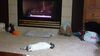 Filename=20201228_001.jpg
Filesize=400KiB
Dimensions=2048x1152
Date added=May 23, 2021 20201228_001.jpg