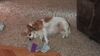 Filename=20201231_000.jpg
Filesize=395KiB
Dimensions=2048x1152
Date added=Nov 07, 2021 20201231_000.jpg