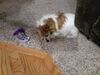 Filename=20201231_001.jpg
Filesize=428KiB
Dimensions=2048x1536
Date added=May 23, 2021 20201231_001.jpg