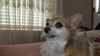 Filename=20210104_001.jpg
Filesize=434KiB
Dimensions=2048x1152
Date added=Nov 07, 2021 20210104_001.jpg
