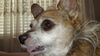 Filename=20210104_002.jpg
Filesize=581KiB
Dimensions=2048x1152
Date added=Nov 07, 2021 20210104_002.jpg