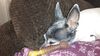 Filename=20210104_003.jpg
Filesize=507KiB
Dimensions=2048x1152
Date added=Nov 07, 2021 20210104_003.jpg