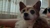 Filename=20210104_004.jpg
Filesize=277KiB
Dimensions=2048x1152
Date added=Nov 07, 2021 20210104_004.jpg