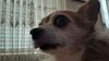 Filename=20210104_005.jpg
Filesize=318KiB
Dimensions=2048x1152
Date added=Nov 07, 2021 20210104_005.jpg
