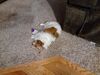 Filename=20210112_001.jpg
Filesize=726KiB
Dimensions=2048x1536
Date added=May 28, 2021 20210112_001.jpg
