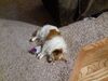 Filename=20210112_002.jpg
Filesize=664KiB
Dimensions=2048x1536
Date added=May 28, 2021 20210112_002.jpg