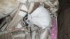 Filename=20210112_003.jpg
Filesize=443KiB
Dimensions=2048x1152
Date added=Nov 07, 2021 20210112_003.jpg