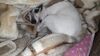 Filename=20210112_004.jpg
Filesize=527KiB
Dimensions=2048x1152
Date added=Nov 07, 2021 20210112_004.jpg