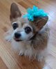 Filename=20210113_002.jpg
Filesize=1126KiB
Dimensions=1500x1836
Date added=May 28, 2021 20210113_002.jpg