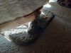 Filename=20210121_001.jpg
Filesize=729KiB
Dimensions=2048x1536
Date added=May 28, 2021 20210121_001.jpg