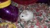 Filename=20210125_001.jpg
Filesize=553KiB
Dimensions=2048x1152
Date added=Nov 07, 2021 20210125_001.jpg