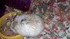 Filename=20210125_002.jpg
Filesize=418KiB
Dimensions=2048x1152
Date added=Nov 07, 2021 20210125_002.jpg