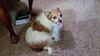 Filename=20210207_001.jpg
Filesize=550KiB
Dimensions=2048x1152
Date added=May 28, 2021 20210207_001.jpg