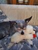 Filename=20210207_002.jpg
Filesize=422KiB
Dimensions=1536x2048
Date added=Aug 28, 2023 20210207_002.jpg