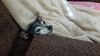 Filename=20210211_001.jpg
Filesize=298KiB
Dimensions=2048x1152
Date added=May 28, 2021 20210211_001.jpg