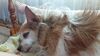 Filename=20210211_002.jpg
Filesize=458KiB
Dimensions=2048x1152
Date added=May 28, 2021 20210211_002.jpg