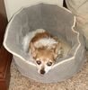 Filename=20210213_001.jpg
Filesize=1858KiB
Dimensions=1801x1836
Date added=May 28, 2021 20210213_001.jpg