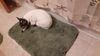 Filename=20210216_001.jpg
Filesize=327KiB
Dimensions=2048x1152
Date added=May 28, 2021 20210216_001.jpg