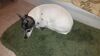 Filename=20210216_002.jpg
Filesize=407KiB
Dimensions=2048x1152
Date added=May 28, 2021 20210216_002.jpg