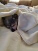 Filename=20210217_001.jpg
Filesize=273KiB
Dimensions=1536x2048
Date added=Aug 28, 2023 20210217_001.jpg
