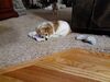 Filename=20210218_004.jpg
Filesize=658KiB
Dimensions=2048x1536
Date added=May 28, 2021 20210218_004.jpg