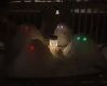 Filename=20210225_003.jpg
Filesize=268KiB
Dimensions=2047x1627
Date added=May 28, 2021 20210225_003.jpg