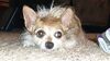Filename=20210302_001.jpg
Filesize=461KiB
Dimensions=2048x1152
Date added=Nov 07, 2021 20210302_001.jpg