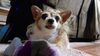 Filename=20210302_003.jpg
Filesize=352KiB
Dimensions=2048x1152
Date added=Nov 07, 2021 20210302_003.jpg