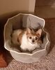 Filename=20210313_001.jpg
Filesize=1148KiB
Dimensions=1249x1566
Date added=May 28, 2021 20210313_001.jpg