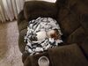 Filename=20210314_005.jpg
Filesize=558KiB
Dimensions=2048x1536
Date added=May 28, 2021 20210314_005.jpg