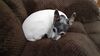 Filename=20210315_004.jpg
Filesize=381KiB
Dimensions=2048x1152
Date added=Nov 07, 2021 20210315_004.jpg