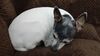 Filename=20210315_005.jpg
Filesize=313KiB
Dimensions=2048x1152
Date added=Nov 07, 2021 20210315_005.jpg