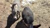 Filename=20210319_007.jpg
Filesize=809KiB
Dimensions=2048x1152
Date added=May 28, 2021 20210319_007.jpg