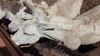 Filename=20210319_011.jpg
Filesize=602KiB
Dimensions=2048x1152
Date added=May 28, 2021 20210319_011.jpg