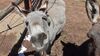 Filename=20210319_015.jpg
Filesize=661KiB
Dimensions=2048x1152
Date added=May 28, 2021 20210319_015.jpg