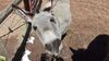Filename=20210319_021.jpg
Filesize=669KiB
Dimensions=2048x1152
Date added=May 28, 2021 20210319_021.jpg
