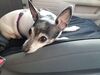 Filename=20210319_030.jpg
Filesize=565KiB
Dimensions=2048x1536
Date added=May 28, 2021 20210319_030.jpg