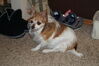 Filename=20210325_001.jpg
Filesize=472KiB
Dimensions=2047x1360
Date added=May 28, 2021 20210325_001.jpg