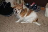 Filename=20210325_002.jpg
Filesize=491KiB
Dimensions=2047x1360
Date added=May 28, 2021 20210325_002.jpg