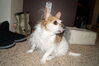 Filename=20210325_003.jpg
Filesize=383KiB
Dimensions=2047x1360
Date added=May 28, 2021 20210325_003.jpg