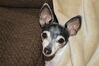 Filename=20210325_004.jpg
Filesize=367KiB
Dimensions=2047x1360
Date added=May 28, 2021 20210325_004.jpg
