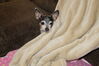 Filename=20210325_005.jpg
Filesize=383KiB
Dimensions=2047x1360
Date added=May 28, 2021 20210325_005.jpg