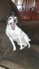 Filename=20210401_001.jpg
Filesize=412KiB
Dimensions=1152x2048
Date added=Nov 07, 2021 20210401_001.jpg