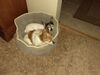 Filename=20210409_001.jpg
Filesize=577KiB
Dimensions=2048x1536
Date added=May 28, 2021 20210409_001.jpg
