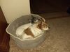 Filename=20210409_002.jpg
Filesize=580KiB
Dimensions=2048x1536
Date added=May 28, 2021 20210409_002.jpg