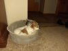 Filename=20210409_003.jpg
Filesize=462KiB
Dimensions=2048x1536
Date added=May 28, 2021 20210409_003.jpg