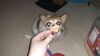 Filename=20210411_000c.jpg
Filesize=344KiB
Dimensions=2048x1152
Date added=Nov 07, 2021 20210411_000c.jpg