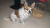 Filename=20210411_000d.jpg
Filesize=439KiB
Dimensions=2048x1152
Date added=Nov 07, 2021 20210411_000d.jpg
