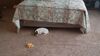 Filename=20210415_001.jpg
Filesize=482KiB
Dimensions=2048x1152
Date added=May 28, 2021 20210415_001.jpg